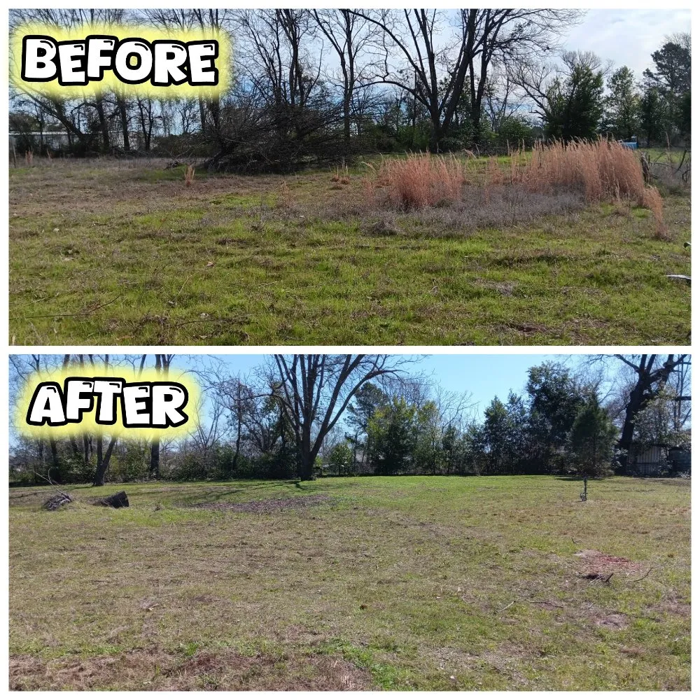 Professional outdoor landscaping experts serving Tyler, TX - Hoskin Honeydews