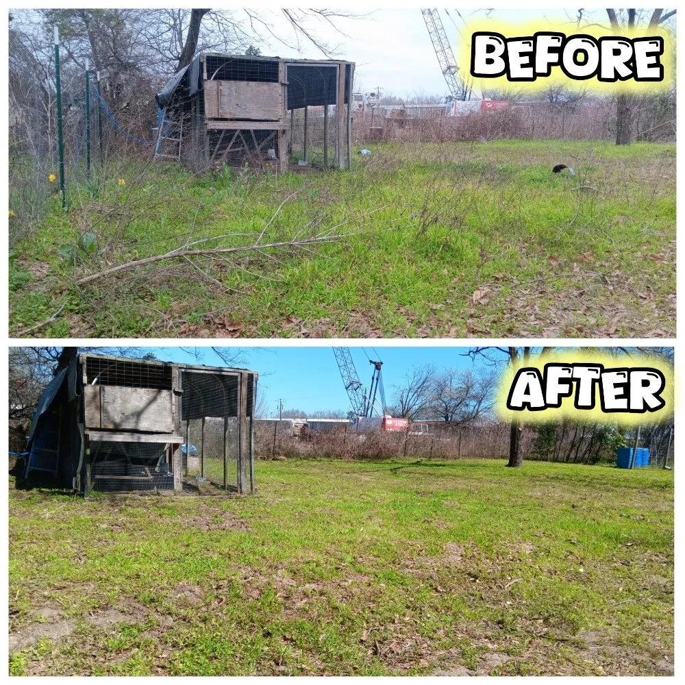 Expert yard cleanup service for year-round maintenance in Tyler, TX by Hoskin Honeydews