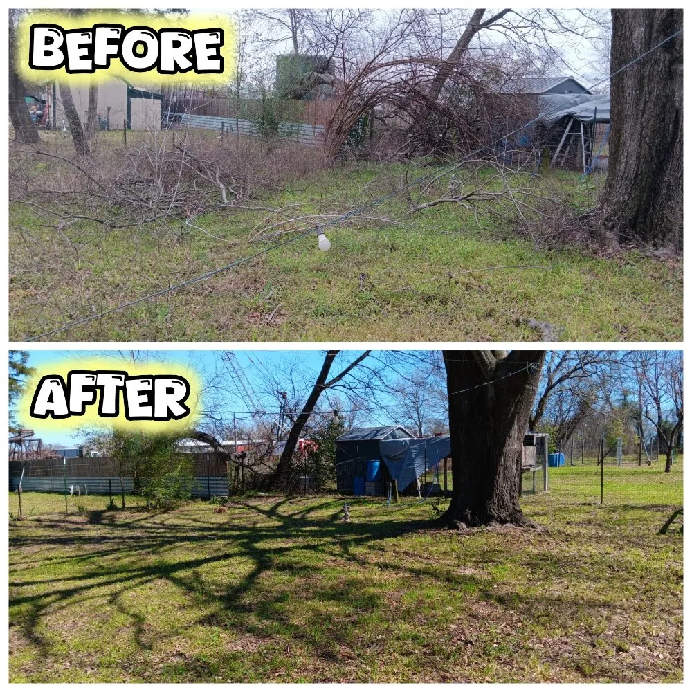 Top-rated landscape design experts serving Tyler, TX - Hoskin Honeydews