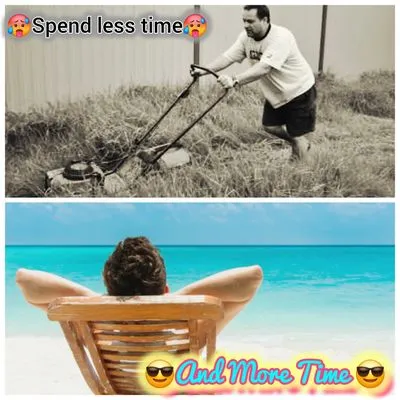 Hoskin Honeydews Logo