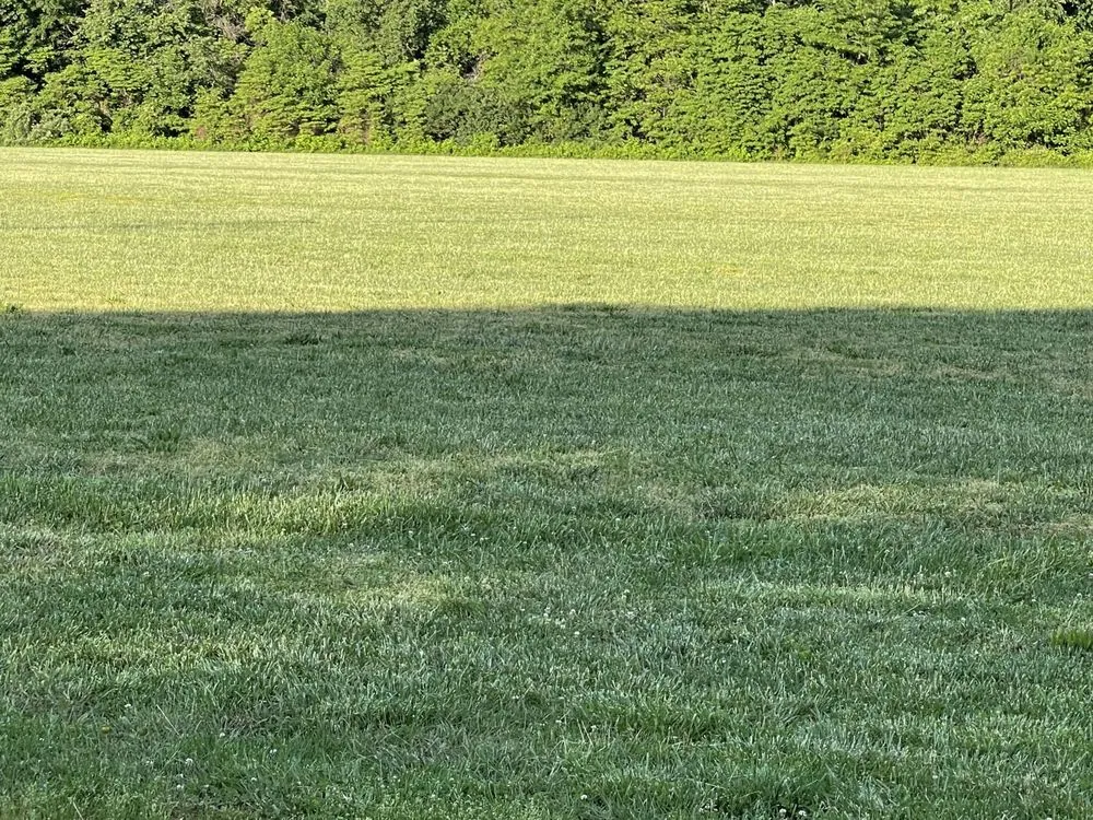 Top-rated garden landscaping in Springfield, MO - Hoskins Lawn Care