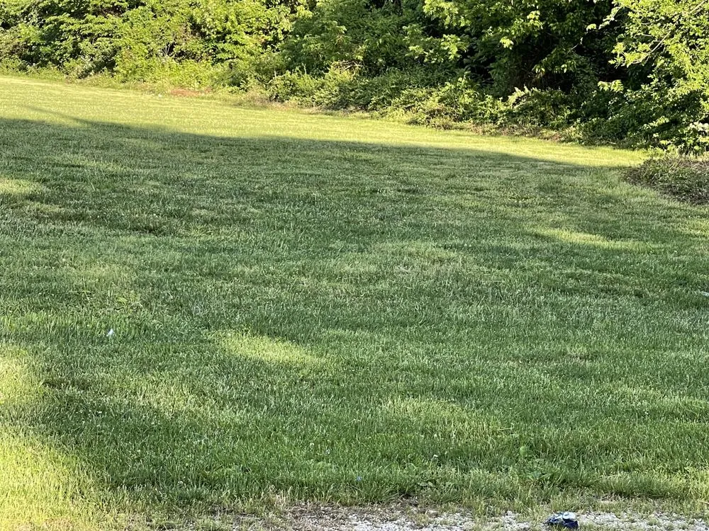 Trusted lawn care service for year-round maintenance in Springfield, MO by Hoskins Lawn Care