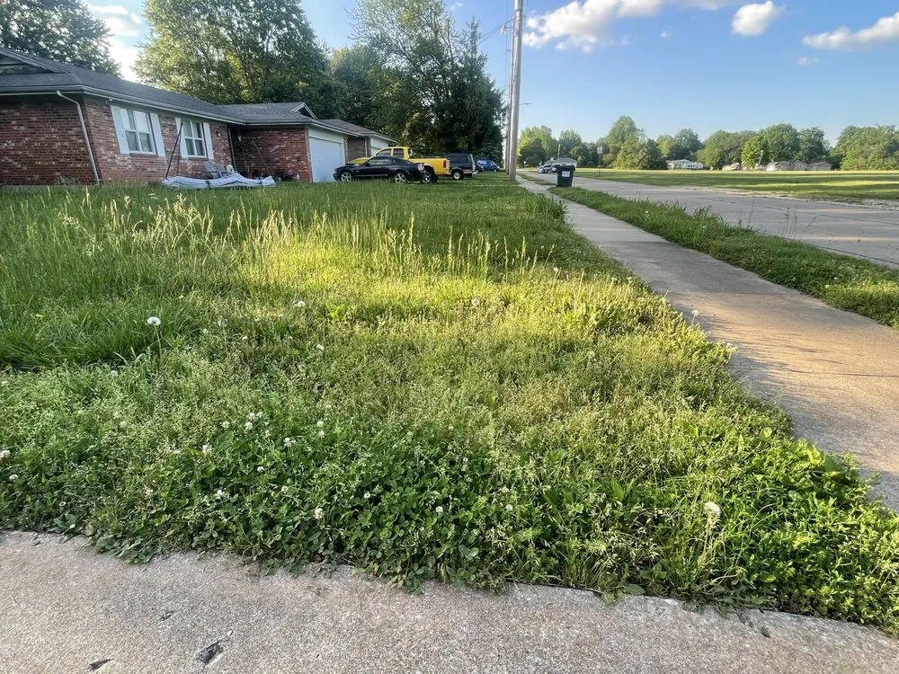 Reliable outdoor landscaping in Springfield, MO by Hoskins Lawn Care