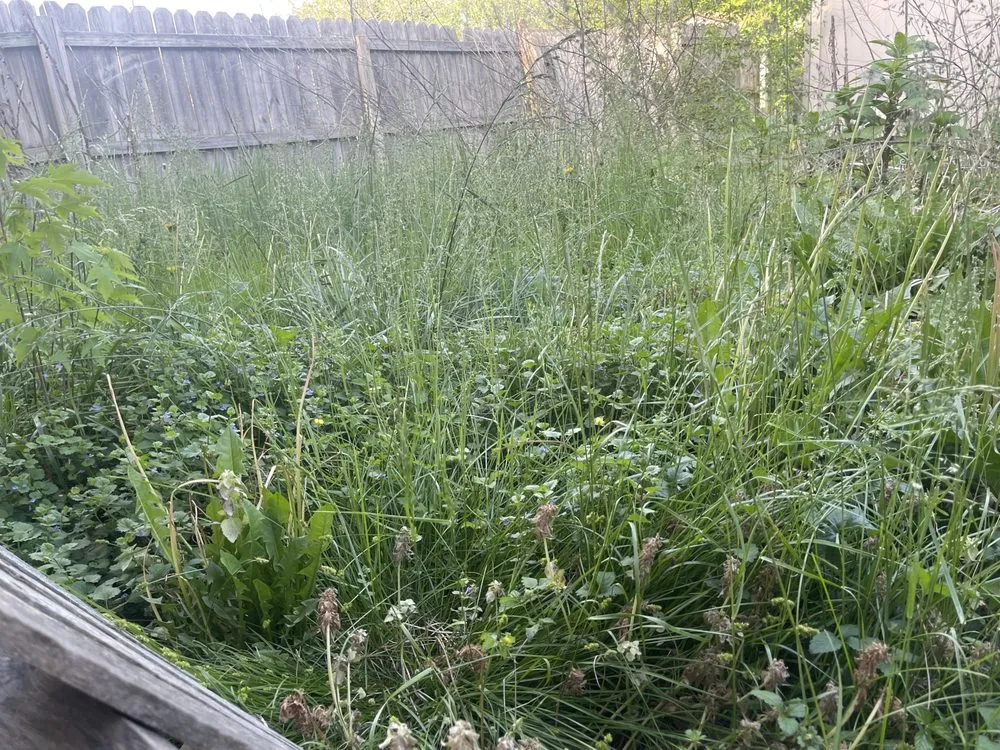 Professional residential landscaping in Springfield, MO - Hoskins Lawn Care