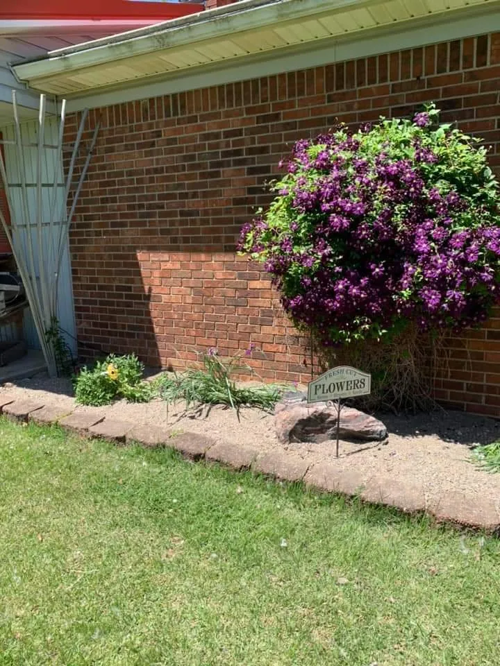 Professional yard cleanup service in Mulberry, IN - Hoss Outdoor Services