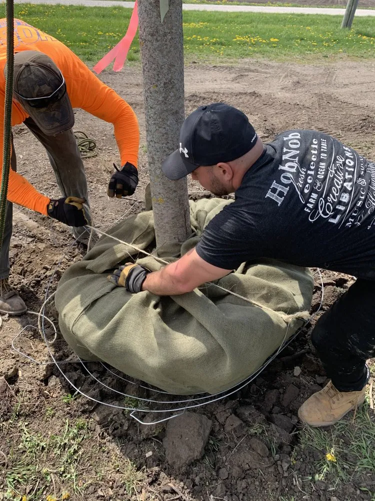 Custom lawn care service in Batavia, IL - Hoss Tree Farm