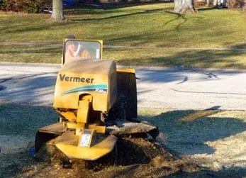 Top-rated residential landscaping experts serving Batavia, IL - Hoss Tree Farm