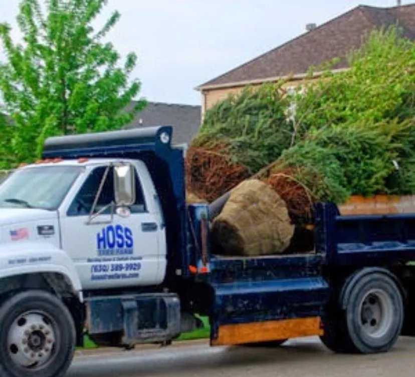 Local residential landscaping in Batavia, IL - Hoss Tree Farm