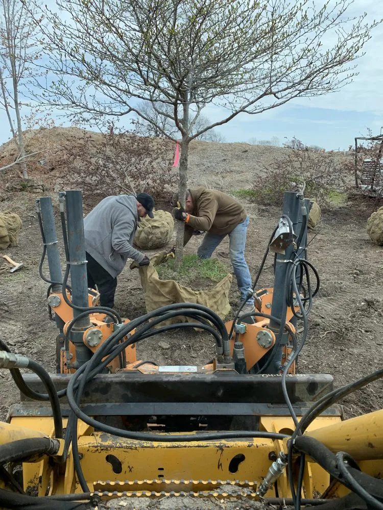 Expert yard maintenance in Batavia, IL by Hoss Tree Farm