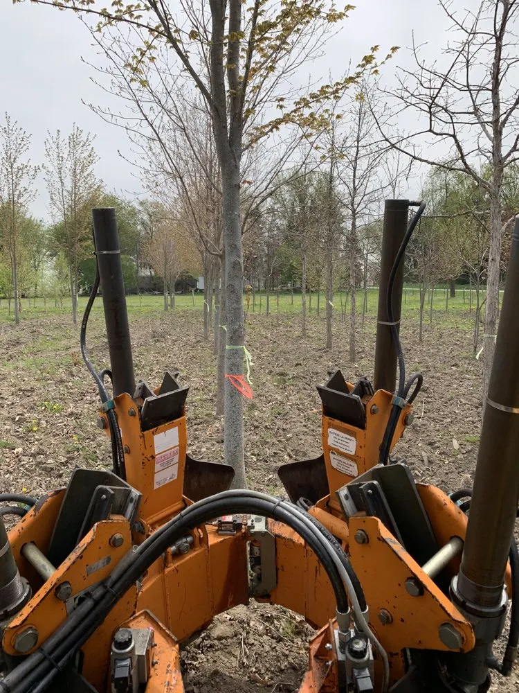 Professional landscaping services in Batavia, IL - Hoss Tree Farm