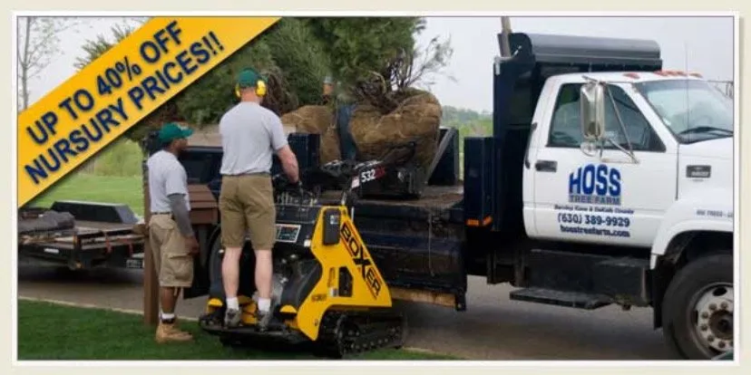 Expert yard maintenance for year-round maintenance in Batavia, IL by Hoss Tree Farm
