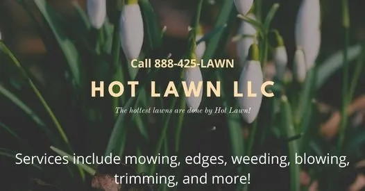 Top-rated lawn care service in Orange Park, FL - Hot Lawn