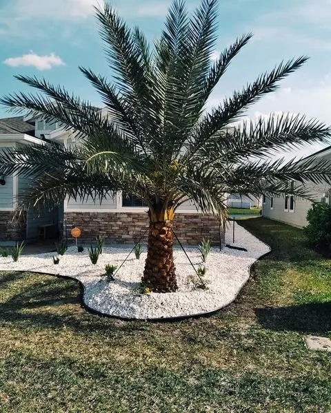 Trusted outdoor landscaping for outdoor upgrades across Orange Park, FL - Hot Lawn