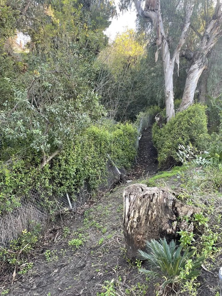 Expert landscape installation for residential properties across Norco, CA - Hot Line Property Services