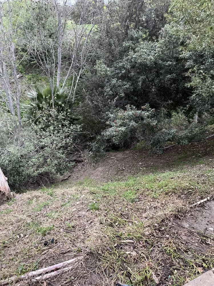 Affordable residential landscaping in Norco, CA by Hot Line Property Services