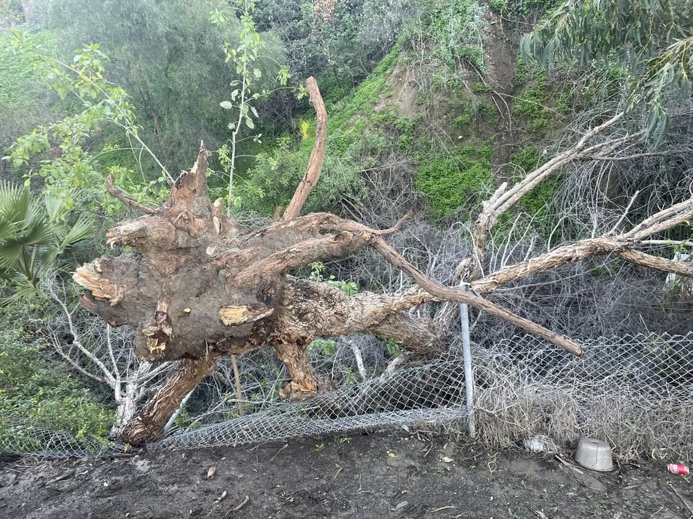 Top-rated yard maintenance in Norco, CA - Hot Line Property Services