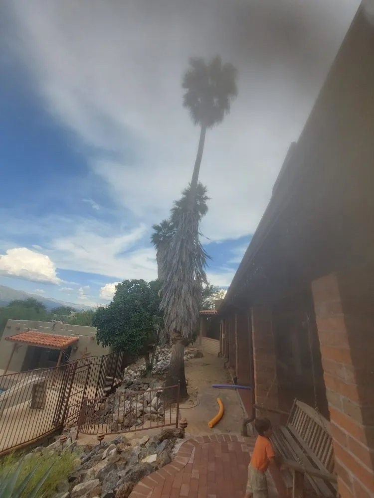 Professional landscape installation in Tucson, AZ - Hot Mess Cleaning & Landscape Services