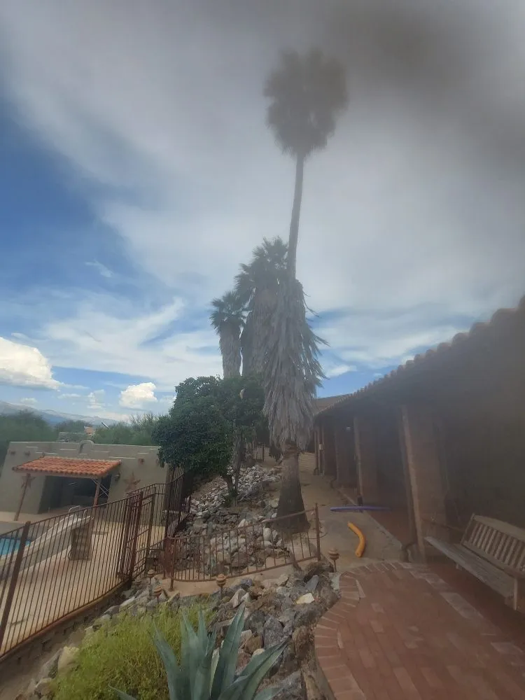 Expert landscape design in Tucson, AZ - Hot Mess Cleaning & Landscape Services