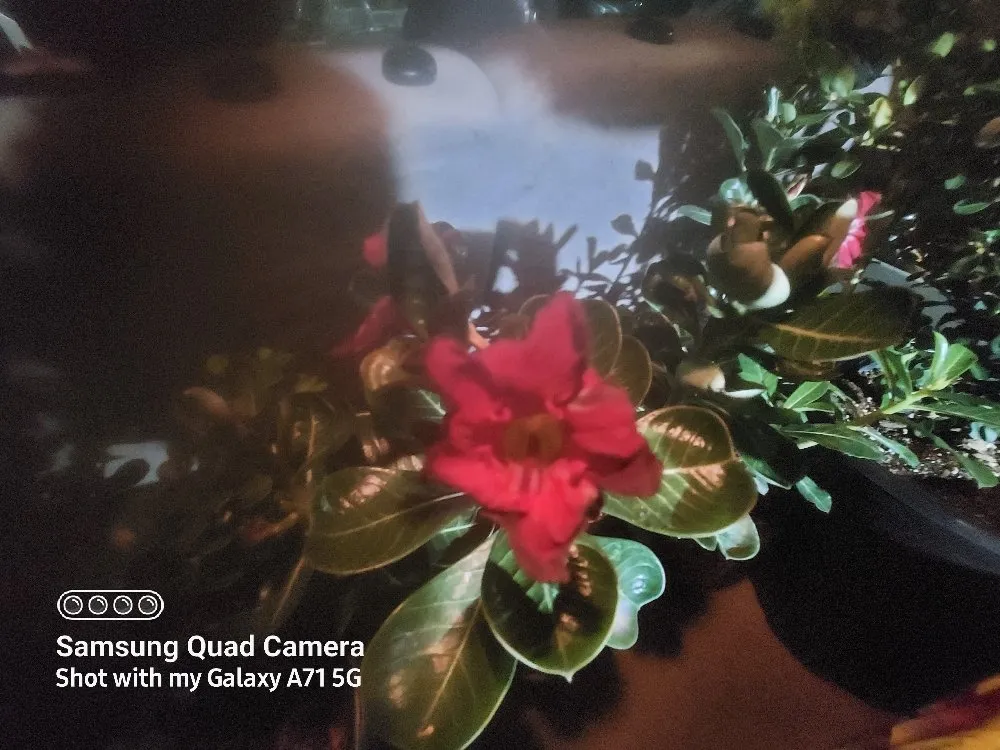 Custom garden landscaping experts serving Tucson, AZ - Hot Mess Cleaning & Landscape Services