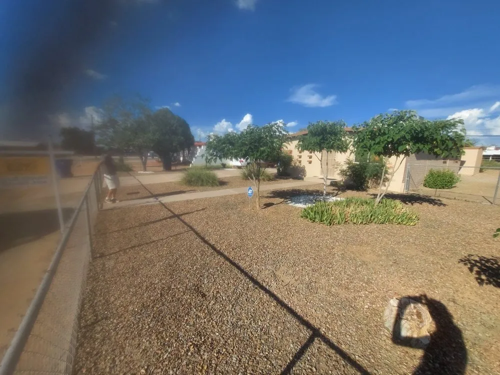 Trusted landscape design in Tucson, AZ by Hot Mess Cleaning & Landscape Services