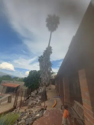 Hot Mess Cleaning & Landscape Services Logo