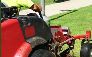 Expert yard cleanup service in Denton, TX by Hot Potato Residential Services