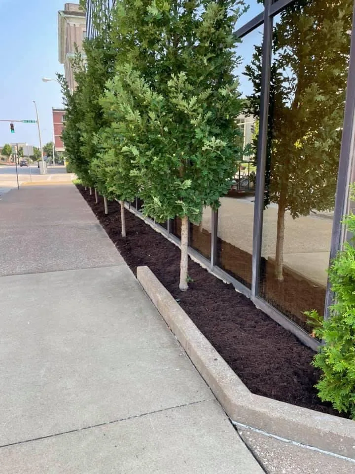 Expert lawn care service for year-round maintenance in Masonville, KY by Hot Shot Lawn Service