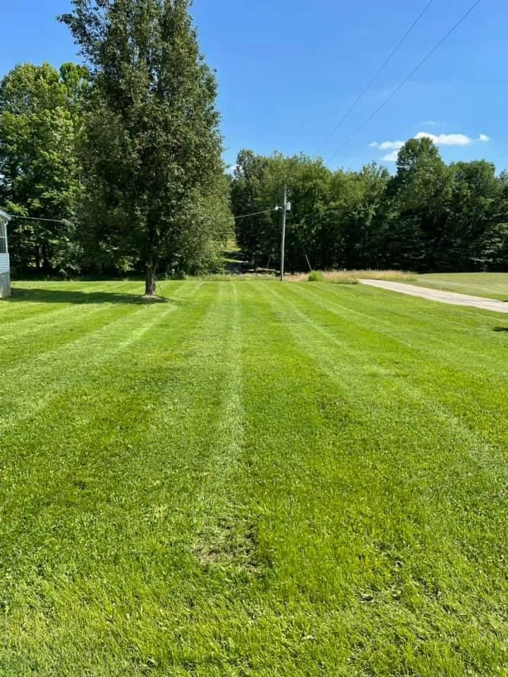 Top-rated yard cleanup service in Masonville, KY - Hot Shot Lawn Service