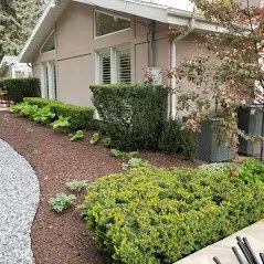 Affordable lawn care service in Draper, UT - Hot Shot Sprinkler Repair & Landscape