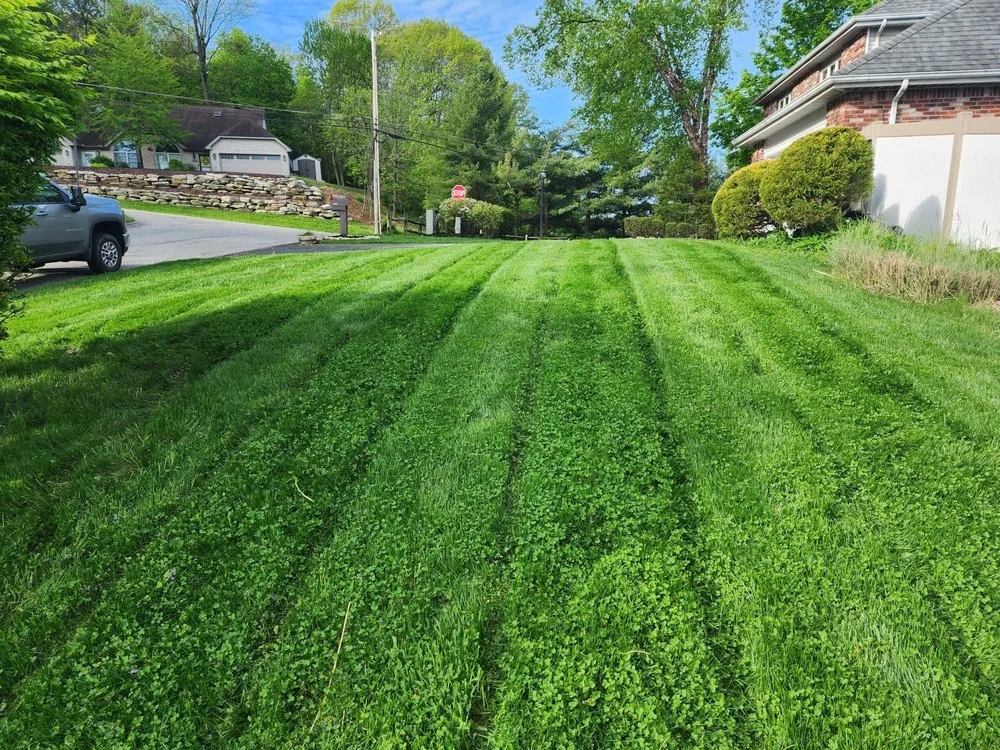 Local residential landscaping in Murrysville, PA by Hotrod Softscape and Hardscape
