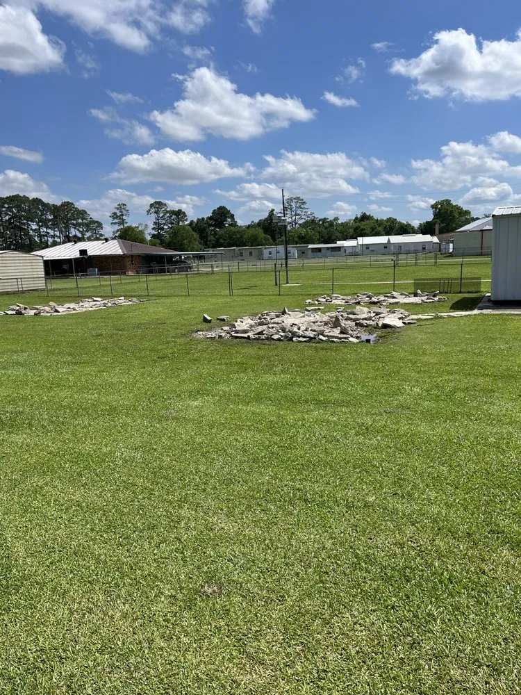 Reliable yard maintenance in Carencro, LA by Hotshot Handyman & Electric