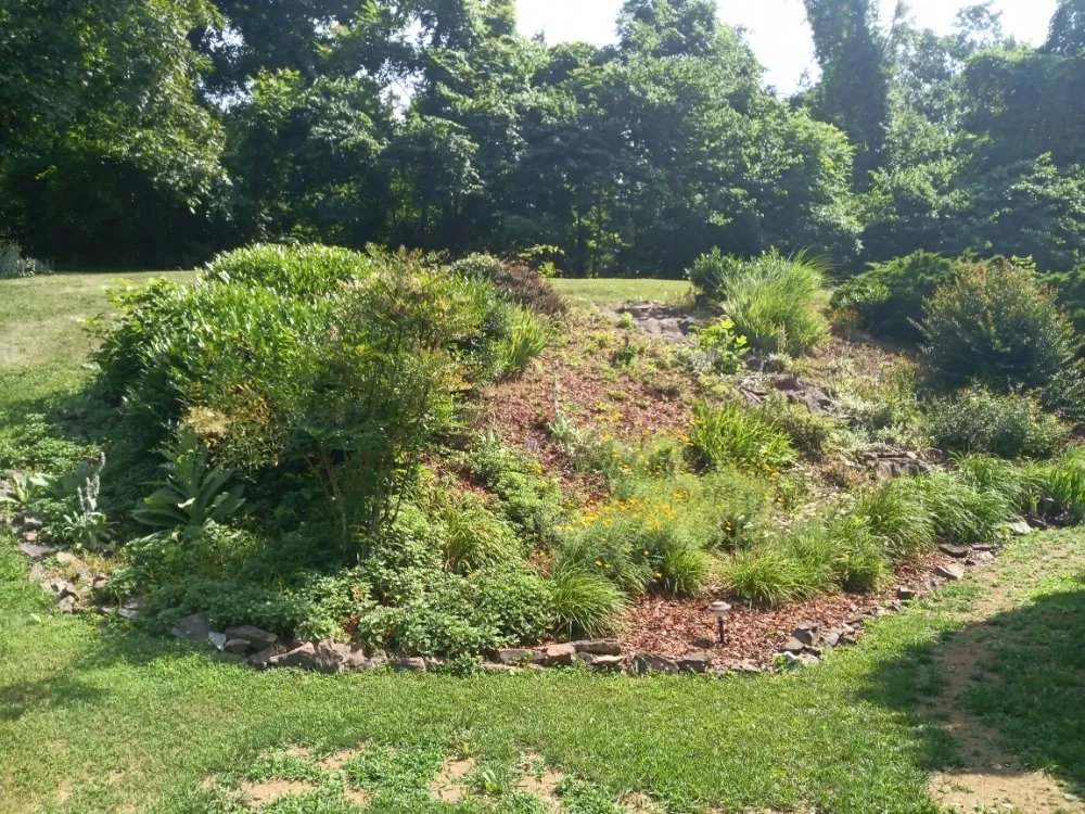 Top-rated landscape installation in Castlewood, VA by Houck Lawn Care & Maintenance