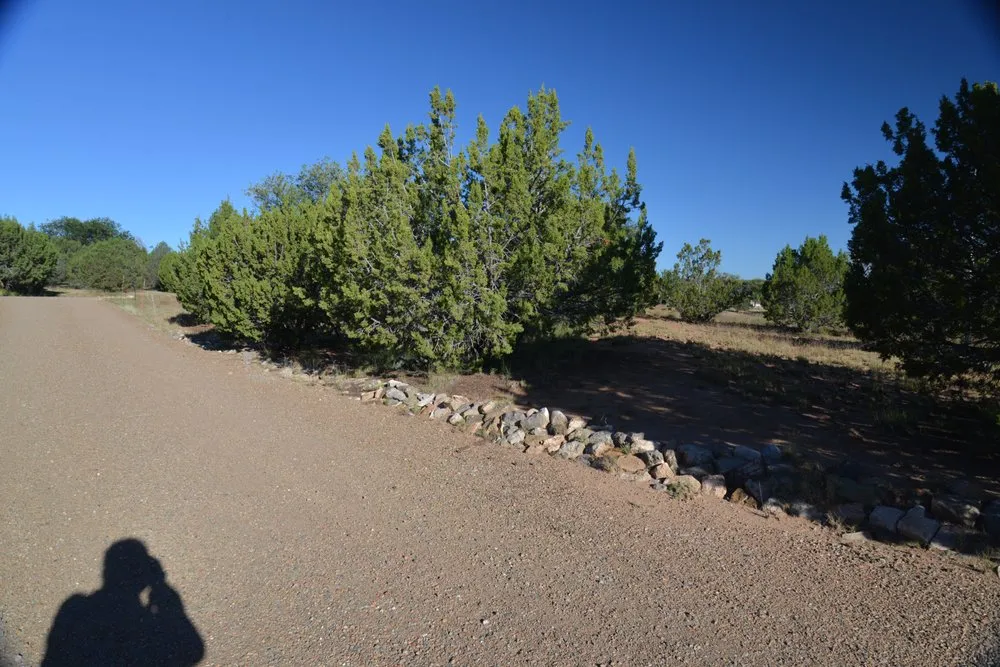 Professional outdoor landscaping in Cedar Crest, NM - Houghton Home Hardscape