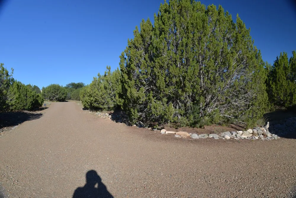 Trusted yard maintenance for beautiful yards in Cedar Crest, NM by Houghton Home Hardscape