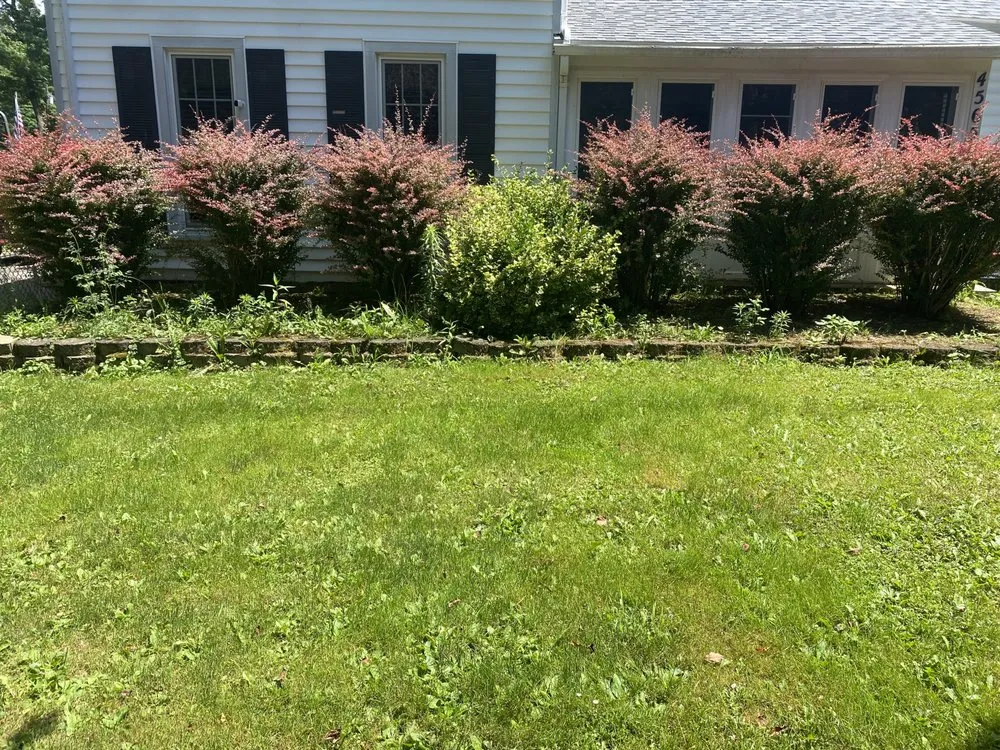 Trusted garden landscaping experts serving Holley, NY - Hound lawn service & landscaping