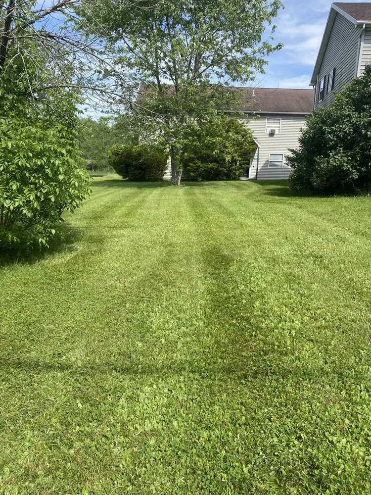 Local lawn mowing service for outdoor upgrades in Holley, NY by Hound lawn service & landscaping