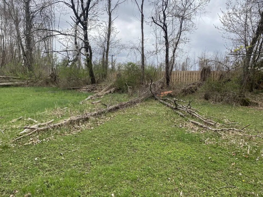 Professional landscape installation in Holley, NY by Hound lawn service & landscaping