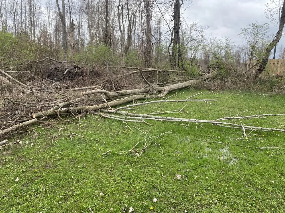 Affordable residential landscaping for year-round maintenance across Holley, NY - Hound lawn service & landscaping