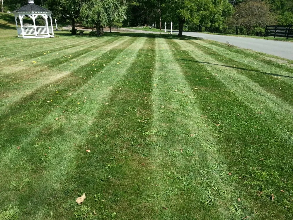 Custom lawn mowing service for homes across Wapwallopen, PA - Hour Lawn Service