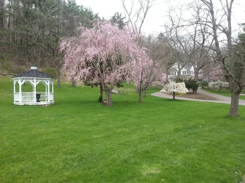 Trusted landscape design in Wapwallopen, PA - Hour Lawn Service