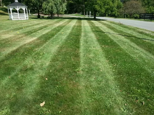 Hour Lawn Service Logo