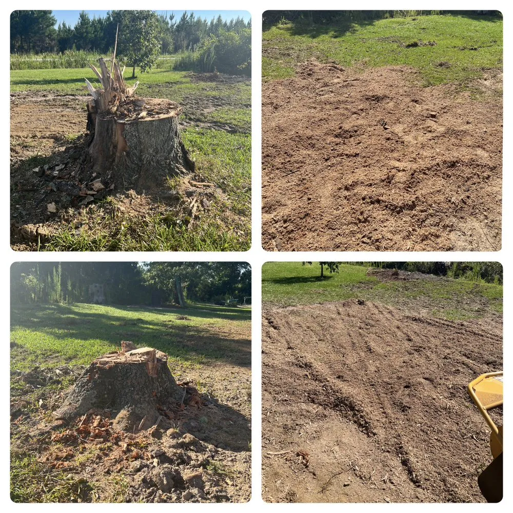Expert landscape installation for homes across Florence, SC - Housand Stump Grinding