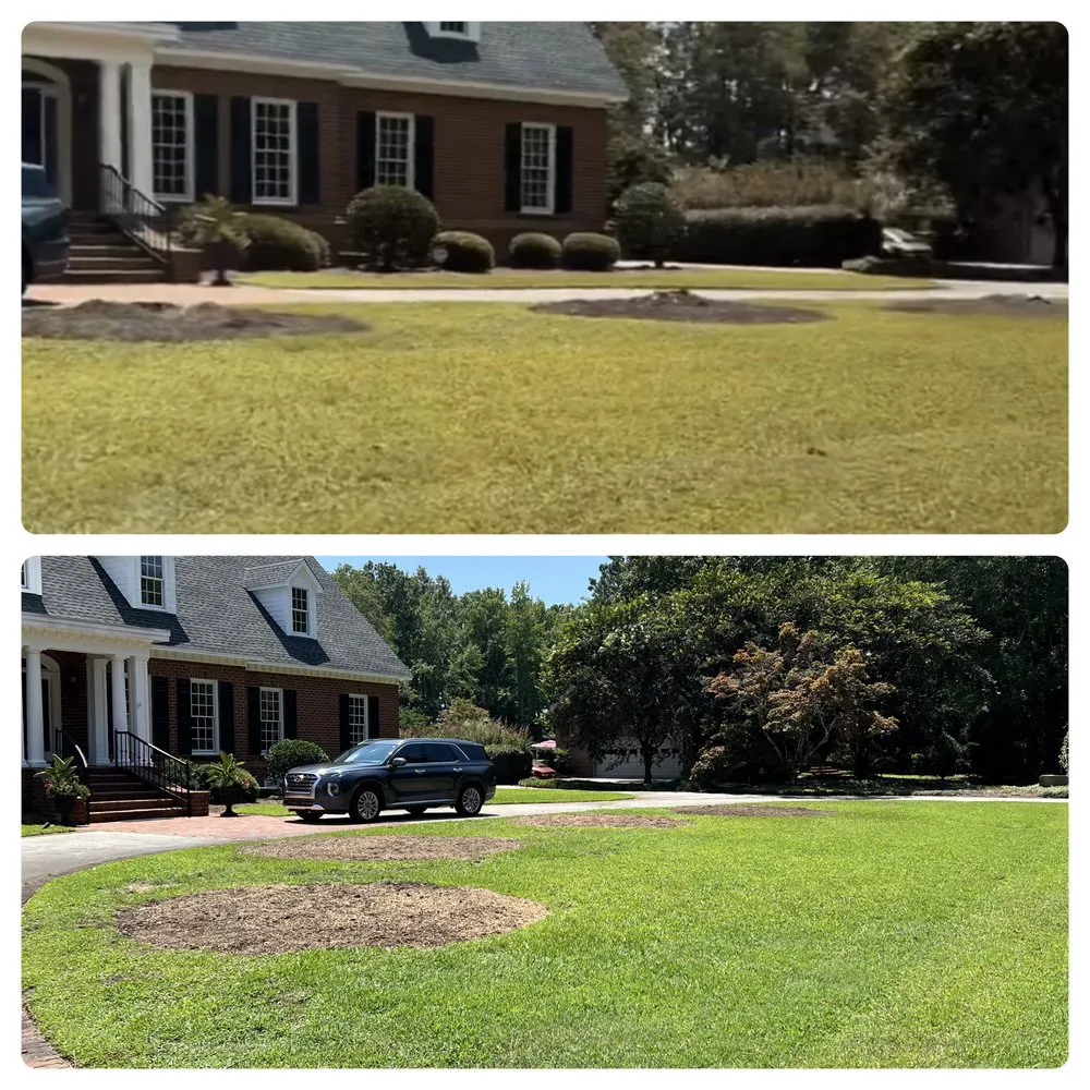 Top-rated yard maintenance in Florence, SC - Housand Stump Grinding