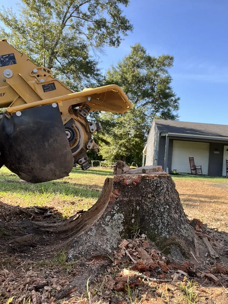 Top-rated residential landscaping experts serving Florence, SC - Housand Stump Grinding