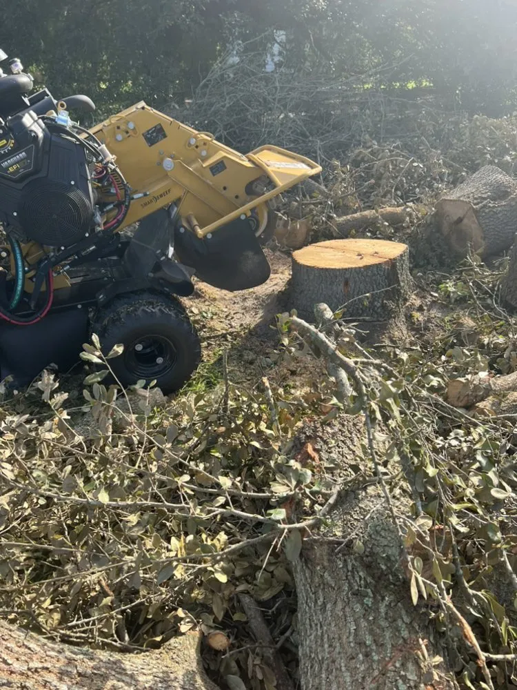 Top-rated residential landscaping in Florence, SC by Housand Stump Grinding