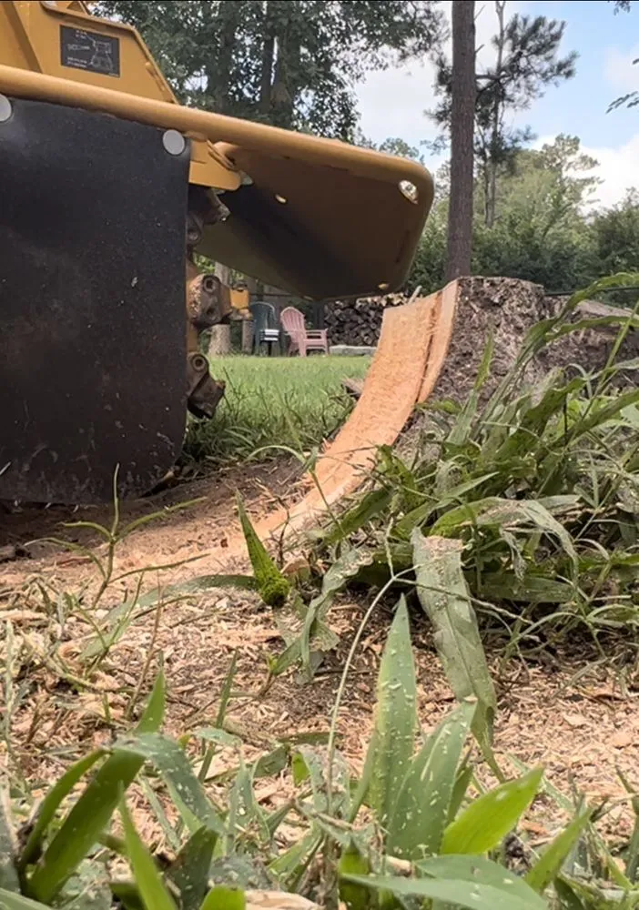 Trusted outdoor landscaping in Florence, SC by Housand Stump Grinding