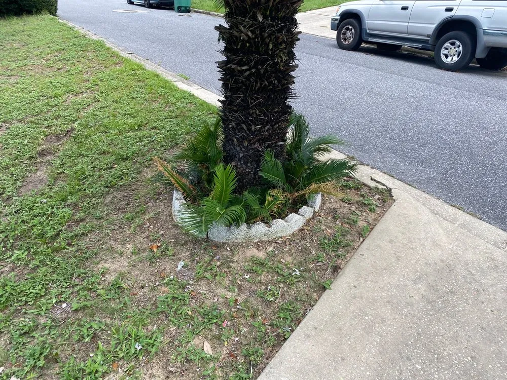 Professional lawn care service experts serving Crestview, FL - House 2 House Lawn Care