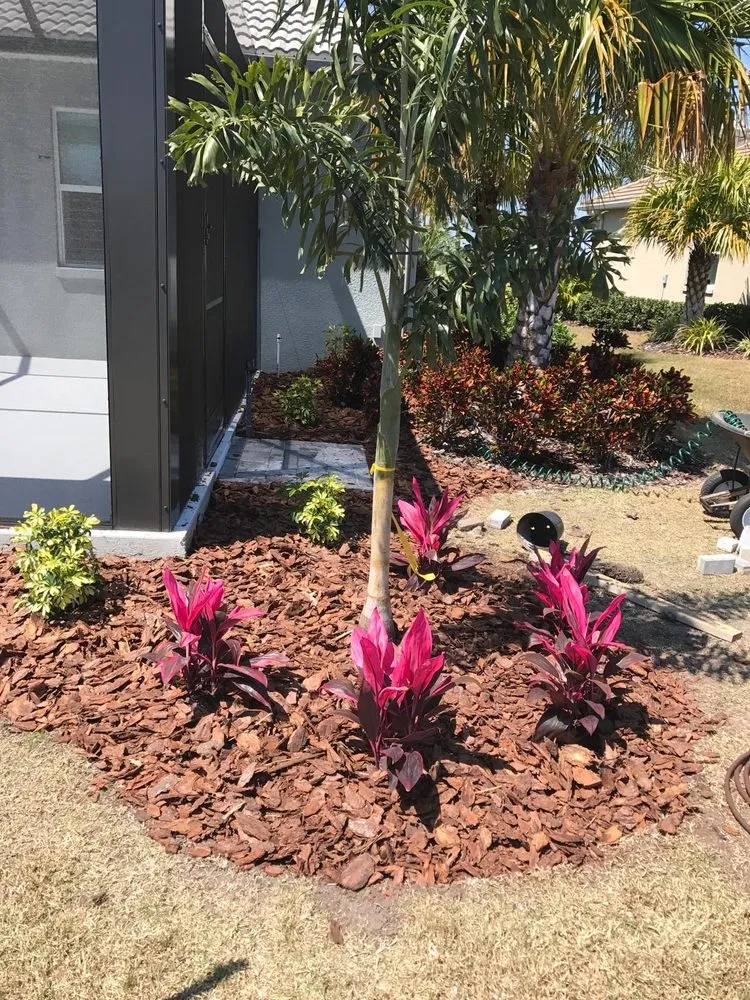 Reliable garden landscaping for year-round maintenance in Bradenton, FL by House Cleaning & Landscaping Quality Services