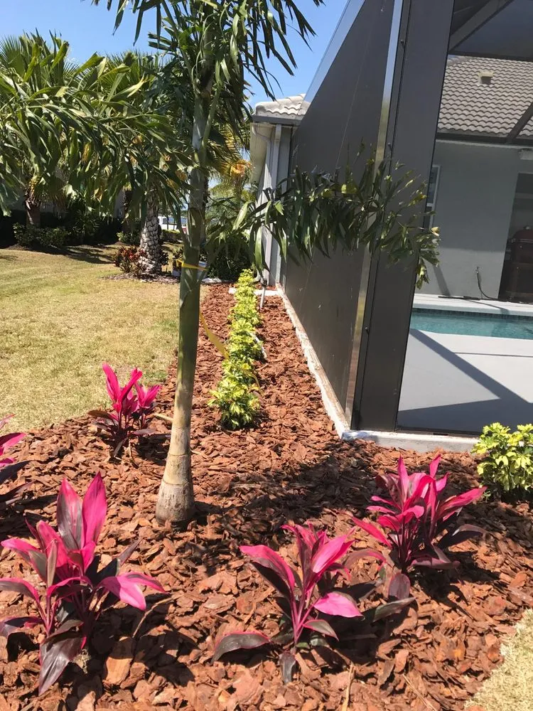 Professional landscaping services experts serving Bradenton, FL - House Cleaning & Landscaping Quality Services