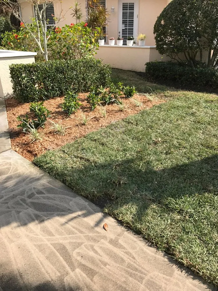 Affordable yard maintenance in Bradenton, FL by House Cleaning & Landscaping Quality Services
